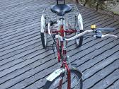 Izip Tricruiser Electric Tricycycle - nuotraukos Nr. 3
