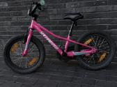 Specialized Riprock Coaster 16