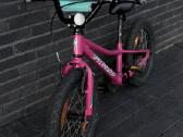 Specialized Riprock Coaster 16 - nuotraukos Nr. 2