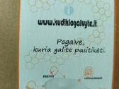 Mimos ortopedinė pagalvė kūdikiams - nuotraukos Nr. 2
