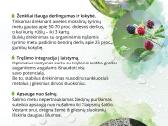 Laistymas, sistemų projektavimas, įrengimas. - nuotraukos Nr. 2