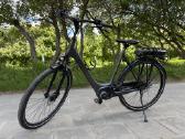 Trek District+ 1 Lowstep (2023) (XL)