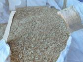 Pjuvenos kurui, kraikui didmaišiuose - nuotraukos Nr. 4