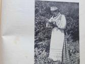 "Naujoji Vaidilutė" 12vnt. 1933-1940m. - nuotraukos Nr. 5