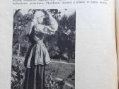 "Naujoji Vaidilutė" 12vnt. 1933-1940m. - nuotraukos Nr. 7