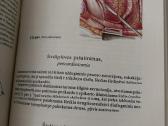 Medicinos studentams - nuotraukos Nr. 3