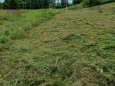 Žolės pjovimas Vilniuje, Vilniaus rajone, Trakuose - nuotraukos Nr. 3
