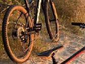 Trek xcaliber 9 - nuotraukos Nr. 7