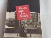 Knyga apie San Mikelę