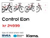 Elektrinis dviratis Control Eon - nuotraukos Nr. 4