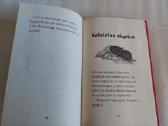 Ugniagesių išgelbėtas kačiukas - nuotraukos Nr. 3