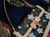 Louis Vuitton rankinė