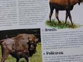 Bolekas ir Liolekas. Gyvūnų atlasas - nuotraukos Nr. 5