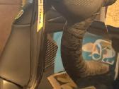 Trek Domane Sl7 carbon Sram force AXS 56 dydis - nuotraukos Nr. 14
