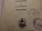 1929m.bajorų gušta - nuotraukos Nr. 2