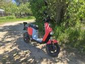 Naujas mopedas M12 - nuotraukos Nr. 9