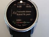 Garmin Fenix 6s (Puikios būklės / Tvarkingas)