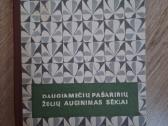 Daugiamečių pašarinių žolių auginimas sėklai
