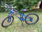 Vaikiškas dviratis Greenway 20"