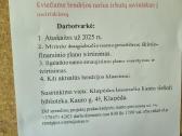 Paspirtuko sėdynė