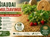 Šiaudai kraikui arba mulčui