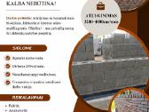 Darbai Olandijoje, Švedijoje,Vokietijoje - nuotraukos Nr. 6