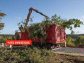Šakų, Medienos Išvežimas, Sunkvežimis (30m3) - nuotraukos Nr. 16