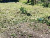 Parduodamas sklypas 6 a, Daubėnuose, Kretingos r. - nuotraukos Nr. 2