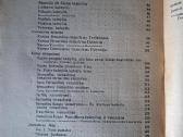 Motiejus Valančius. Pastabos pačiam sau. 1929 m. - nuotraukos Nr. 5