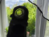Savage Axis 308 cal. - nuotraukos Nr. 5