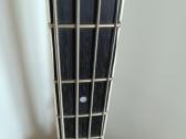 Bosinė gitara Orange O Bass Glen Hughes - nuotraukos Nr. 4