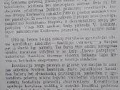 Didysis bastilijų šturmas - nuotraukos Nr. 3