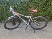 Geras kalnų dviratis (MTB)