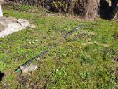 Sodo sklypas su 18 kv. nameliu Justinavoje - nuotraukos Nr. 8