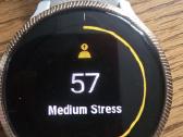 Naudotas Garmin Venu išmanusis laikrodis - nuotraukos Nr. 4