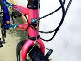Cats M2 Retro MTB Tange Cr-mo 1991 m. - nuotraukos Nr. 6