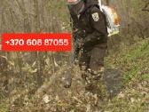 Šakų, Medienos Išvežimas, Sunkvežimis (30m3) - nuotraukos Nr. 26