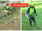 Šakų, Medienos Išvežimas, Sunkvežimis (30m3) - nuotraukos Nr. 23