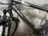 Focus Cross Series hibridinis dviratis 28" - nuotraukos Nr. 2