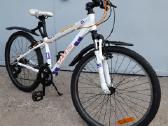 Dbs Intruder 24"