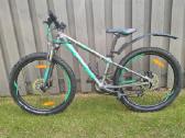 Cube race 240 disc - nuotraukos Nr. 4