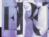 Madonna - Erotica 2 Lp - nuotraukos Nr. 2