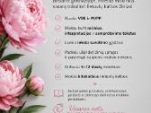 Lietuvių kalbos mokytoja korepetitorė