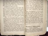 Lietuvos mokykla. 1924 m. - nuotraukos Nr. 12