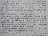 Sumud reiškia „tvirtybė". Palestiniečių kelias. - nuotraukos Nr. 4