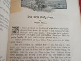 Parduodu knyga,dukterų albumas,1905m - nuotraukos Nr. 7