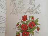 Parduodu knyga,dukterų albumas,1905m - nuotraukos Nr. 6