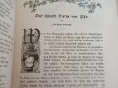 Parduodu knyga,dukterų albumas,1905m - nuotraukos Nr. 10