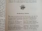 Parduodu knyga,dukterų albumas,1905m - nuotraukos Nr. 12