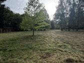Žolės pjovimas, vejos pjovimas Jonava - nuotraukos Nr. 3